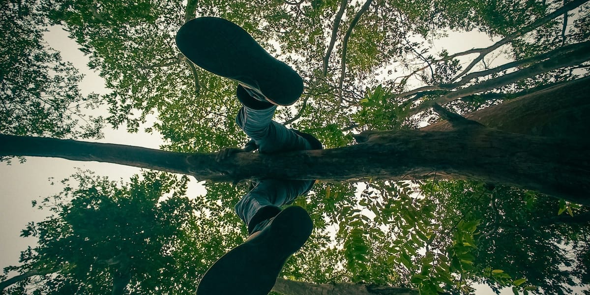 The Difference Between Subject Matter and Concept