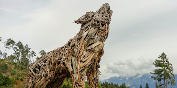 Why Environmental Art Often Gets the Science Wrong